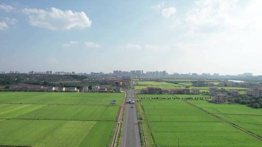 航拍乡村田园公路 美丽乡村