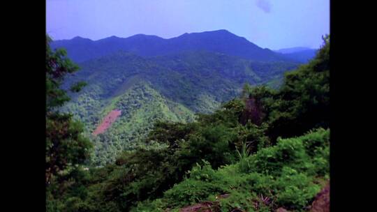 农村的场景