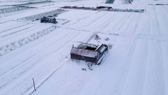 胶东沿海雪地上的一座农家院子