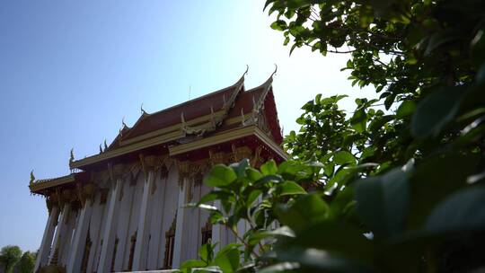 洛阳白马寺国际佛殿泰国寺庙古建筑光影视频素材模板下载