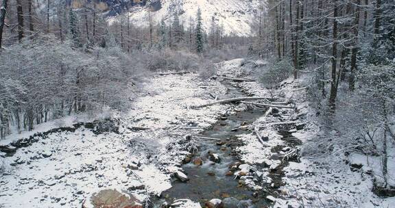 四姑娘山双桥沟冬季雪景小溪流过树林山谷
