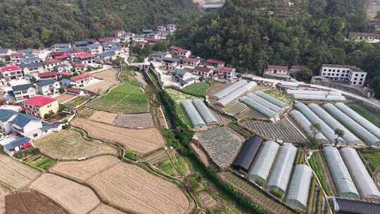 新农村发展农业种植大棚航拍