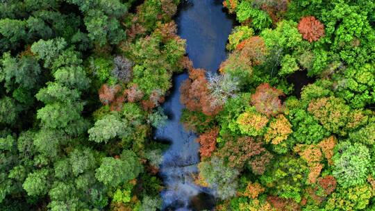 航拍蓝色的河流和秋天的森林