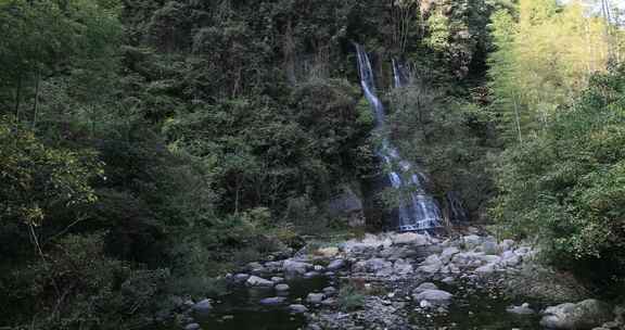 阳光溪流山涧密林原始生态风光