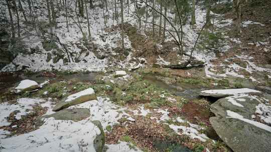 庐山冬天小溪雪后长冲河