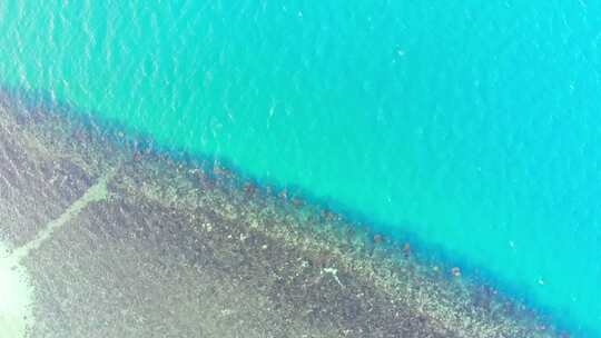 4K鸟瞰海岸珊瑚线