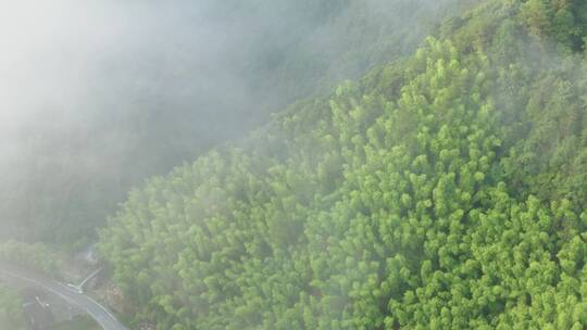 高山山峦晨曦云海航拍浙江开化钱江源森林