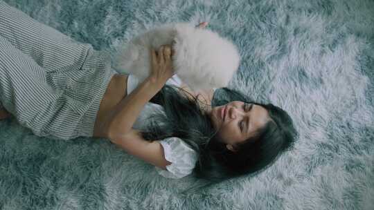 撒谎，女人，宠物，蓬松