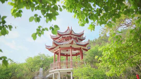 【4k】青梅果树果实树叶蓝天古亭韵味乡村