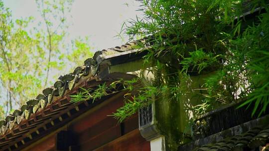 园林古建筑屋檐绿植古风意境视频素材模板下载