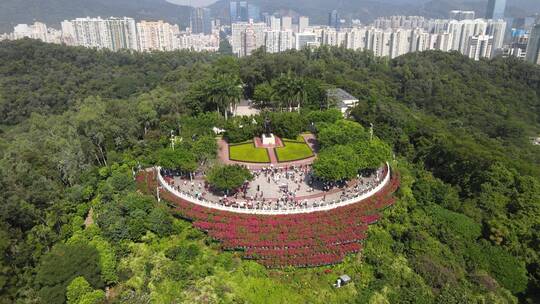 莲花山公园 深圳莲花山视频素材模板下载