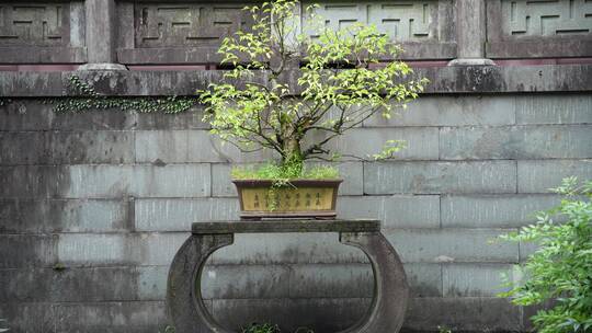 杭州三台山景区慧因高丽寺