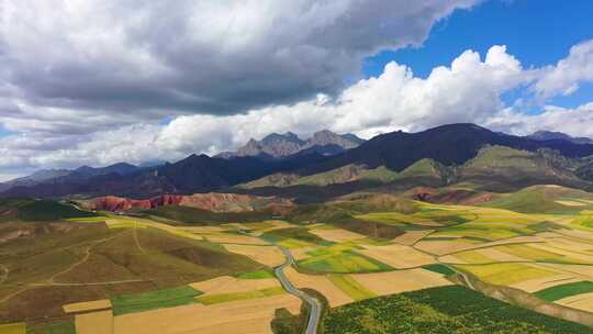 青海祁连卓尔山油菜花航拍延时摄影视频素材模板下载