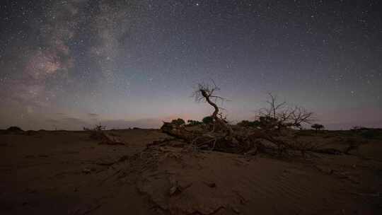 内蒙古额济纳旗胡杨林英仙座流星雨延时视频素材模板下载