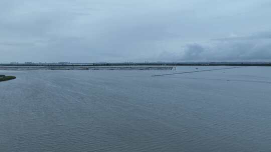 航拍苏州阳澄湖大闸蟹蟹田养殖阳澄湖风光