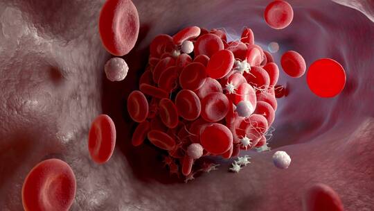 医疗血液检测血管红细胞白细胞血小板