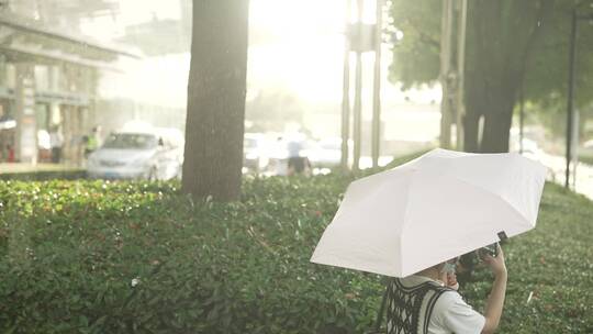 陆家嘴雨天风光