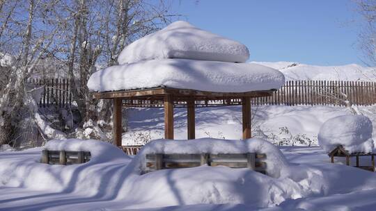 阿勒泰桦林公园雪景