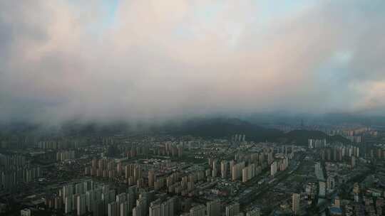 温州清晨云雾航拍