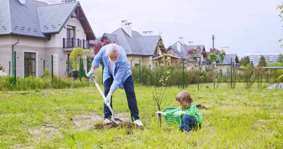 祖父带着孩子在地上挖洞种树来培养小高加索