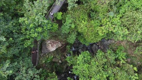 广东东莞：游客在树木掩映的登山步道中行走