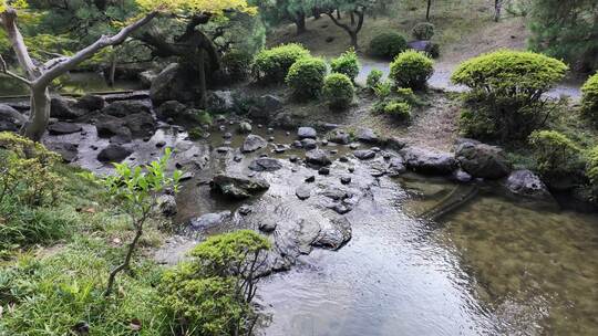 日式花园庭院禅学宁静环境绿植意境