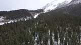 雪山森林冬季自然景观高清在线视频素材下载