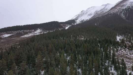 雪山森林冬季自然景观