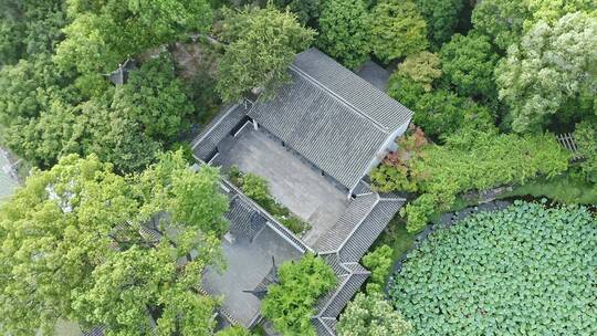 航拍城市生态环境上海醉白池风景区