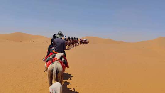 宁夏中卫沙坡头沙漠自然保护区骑骆驼体验视频素材模板下载