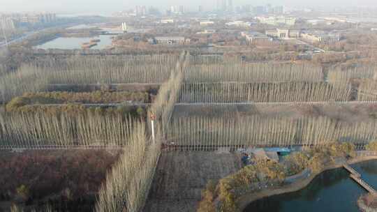 银川风景