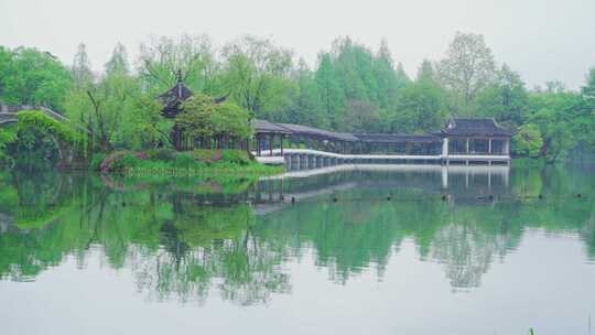 江南西湖浴鹄湾春天春雨中的亭台楼阁水榭