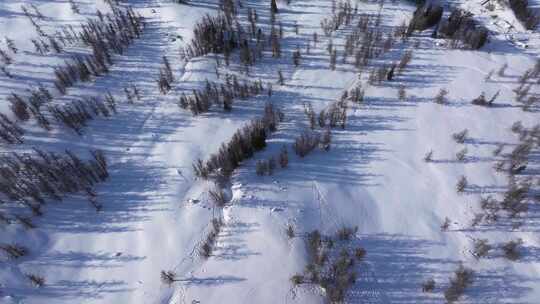 航拍新疆冬季喀纳斯河流晨雾雪山森林雪景