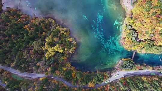 航拍九寨沟秋景彩林川西秋天原始森林五花海