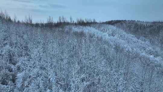 航拍东北下暴雪林海雪原威虎山