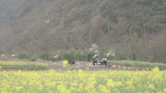 清明节扫墓祭祖视频素材模板下载