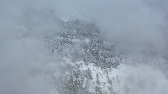 航拍湖北神农架风景区冬季雪山冰雪风光雪景