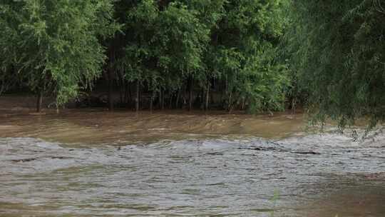 实拍暴雨后洪水 山洪  泥石流