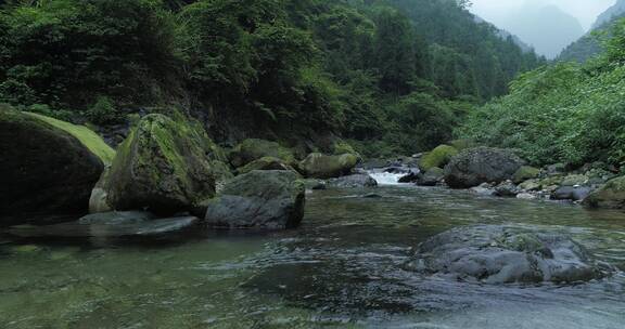 峨眉后山夏日山涧溪流清凉宜人