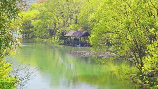 杭州西湖浴鹄湾春天风景