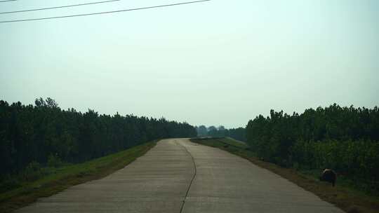 开车行驶在乡村公路开车第一视角驾驶汽车