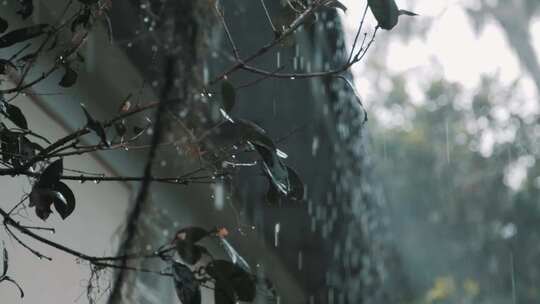 屋檐下雨  最美的不是下雨天