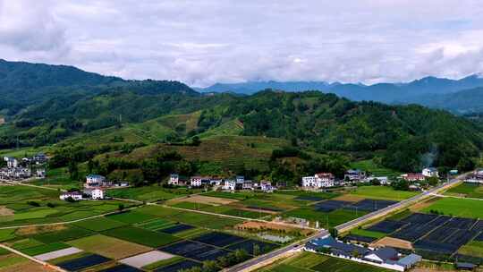 福建武夷山茶园茶田延时