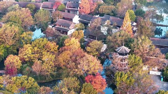 杭州秋天 西溪湿地 手摇船 湿地博物馆