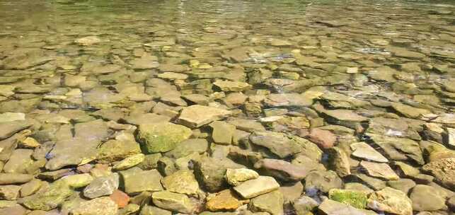 实拍小溪河底的清澈石子