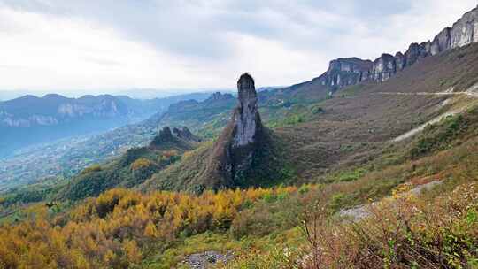 湖北恩施州大山顶林海水杉风景风光森林