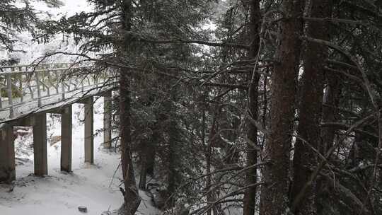 贺兰山金顶雪景视频 (6)