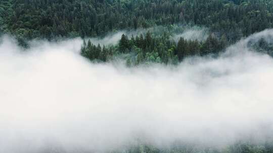 云海 山 雾气 森林 大自然
