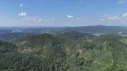 航拍山川丘陵大山山脉森林植物