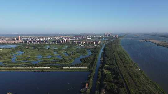 天津市静海区团泊镇生态乡村风光